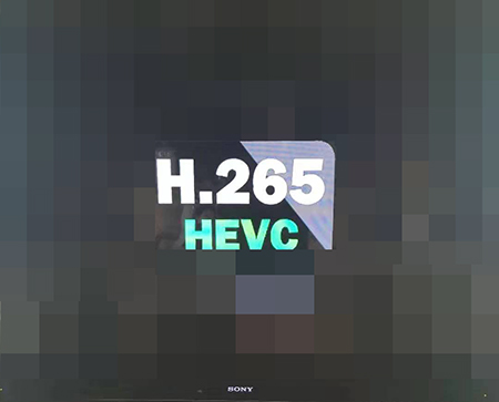 H.265 HEVCѣVersion p2019.11.1.1